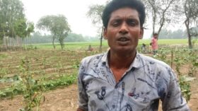 কৃষকের সর্বনাশ, ১লাখ ৫০হাজার টাকা ক্ষতি