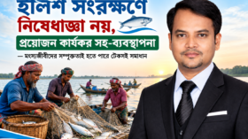 ইলিশ সংরক্ষণে অকার্যকর নিষেধাজ্ঞা নয়